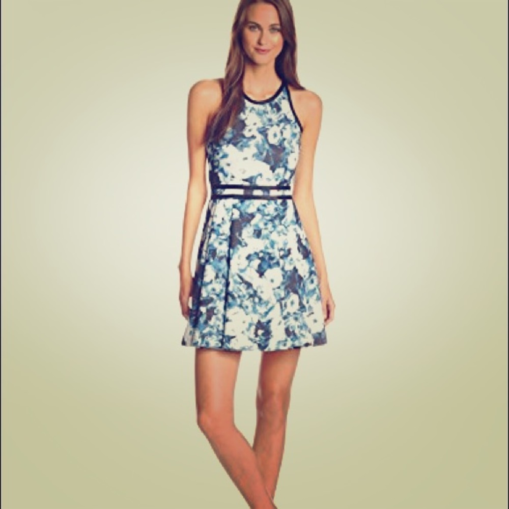 Slate Floral Haze Parker Fit and Flare Dress